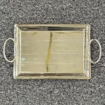 سینی تک مستطیل سیلور 4801