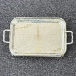 سینی تک مستطیل سیلور 4809