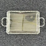 سینی تک مستطیل سیلور 4805